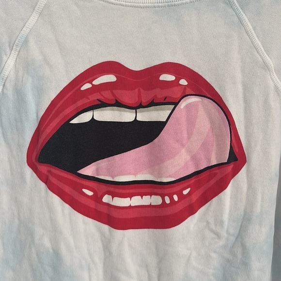 Wildfox femme fatal somers sweater oversized pullover‎ - Picture 4 of 7